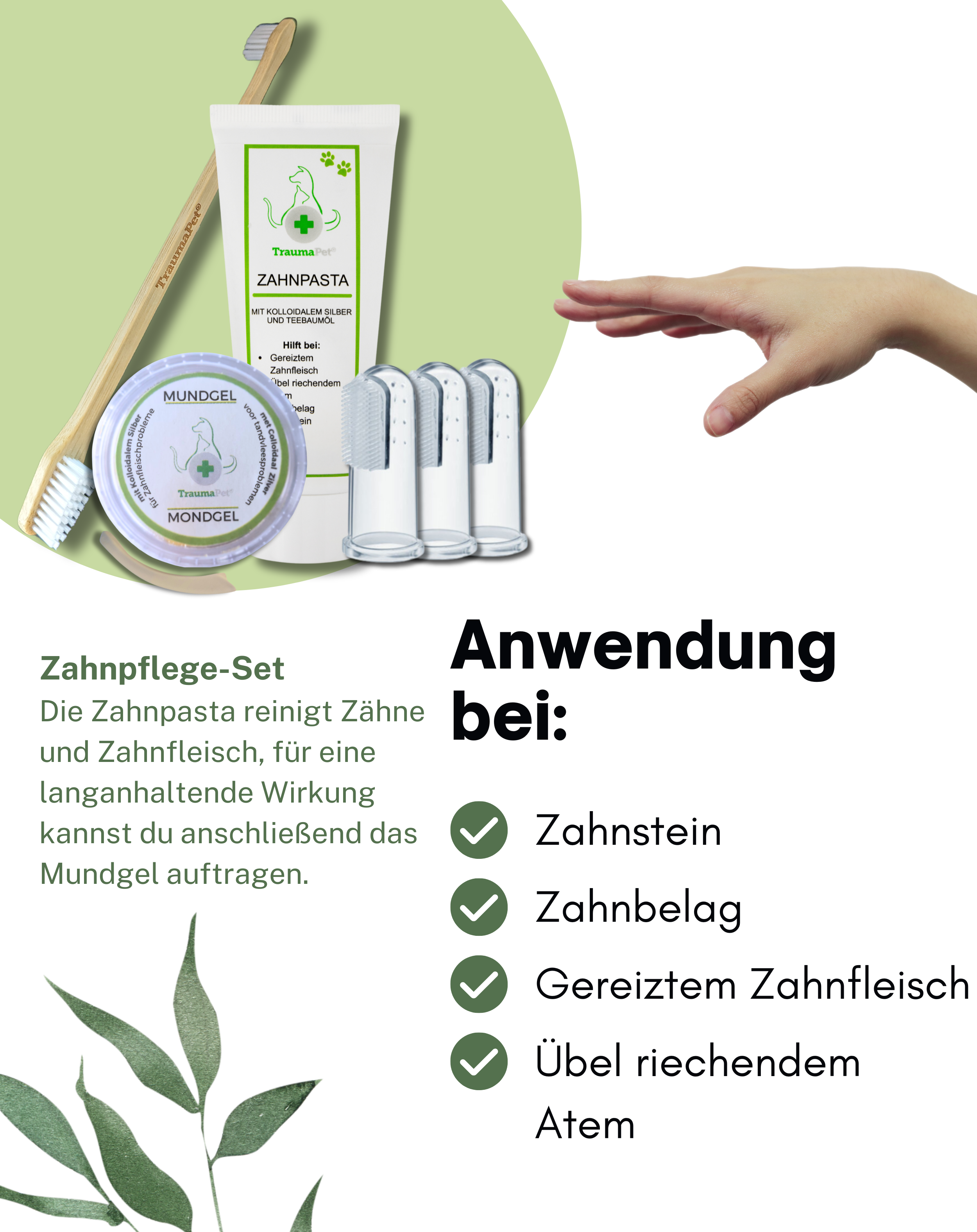 Zahnpflege-Set